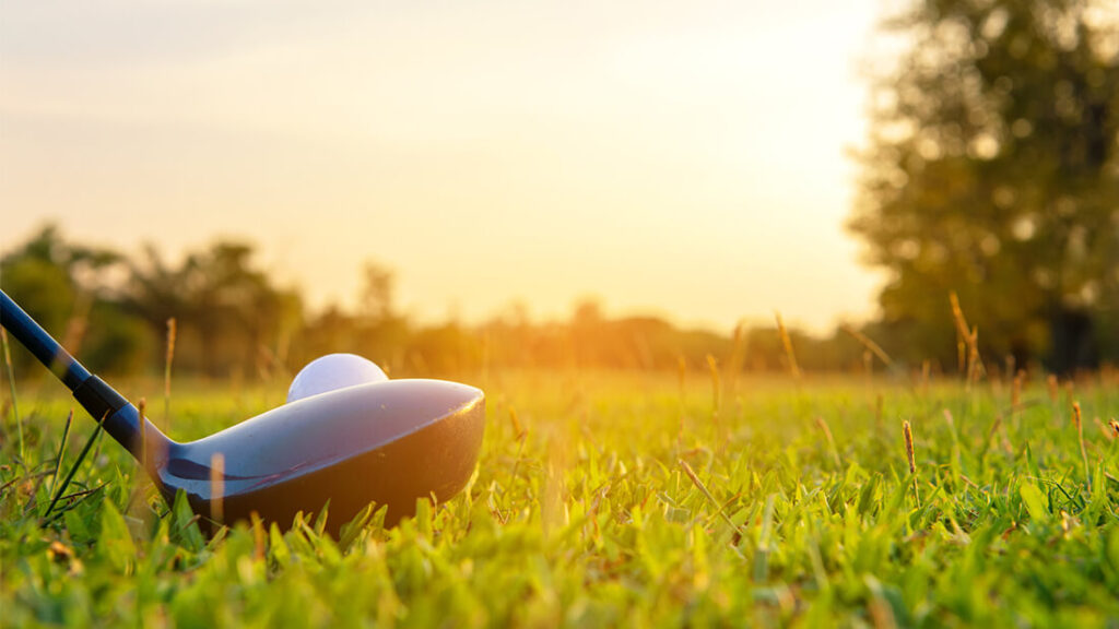 A frisbee in the grass with trees and sun shining.