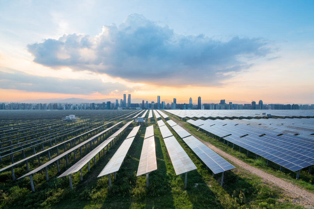 A field with many solar panels on it